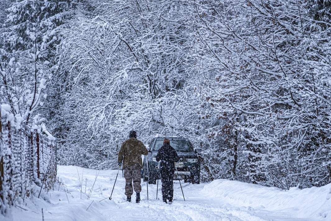 Мужчина с сыном катаются на лыжах в лесу