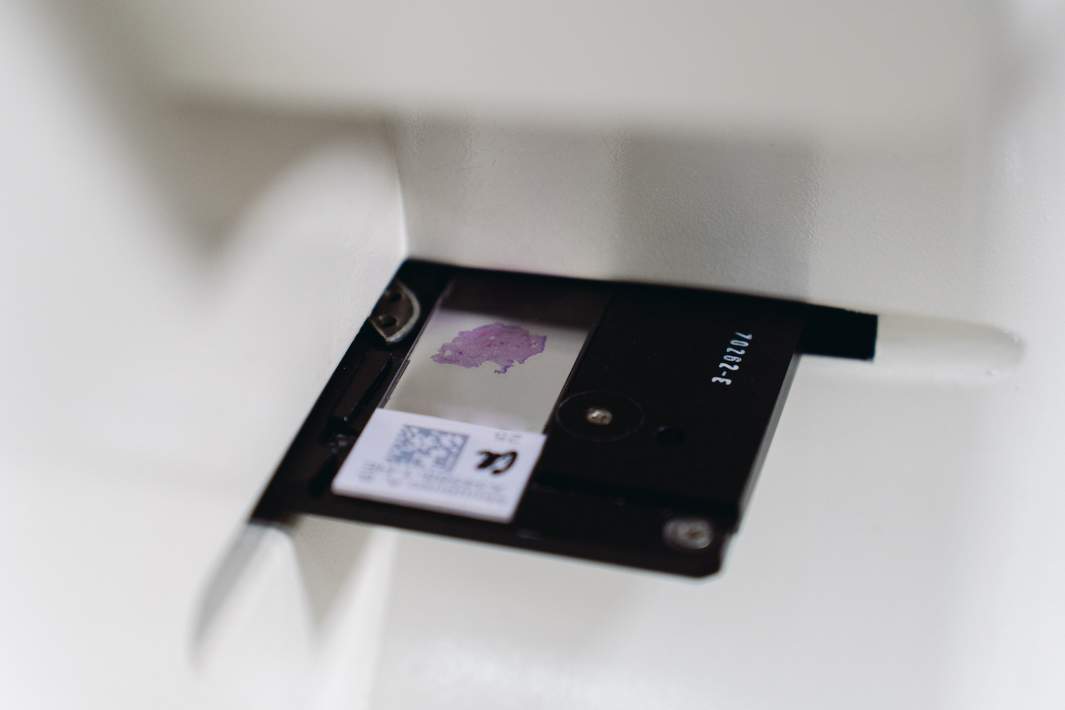 Образец под микроскопом 