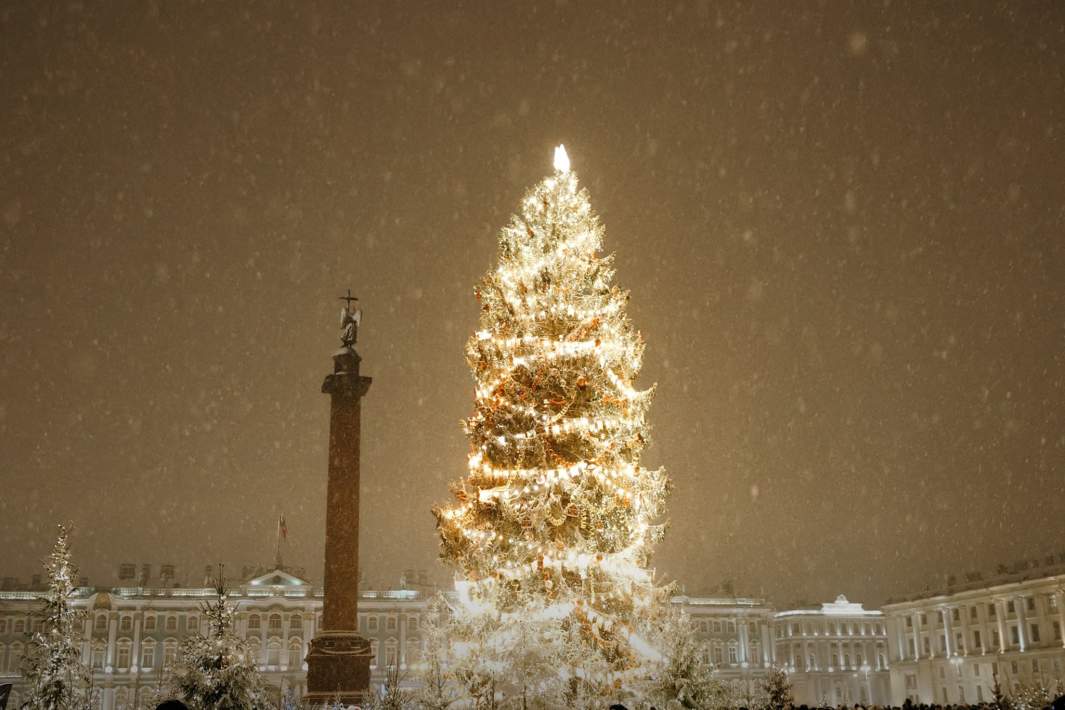 Елка на Дворцовой площади 