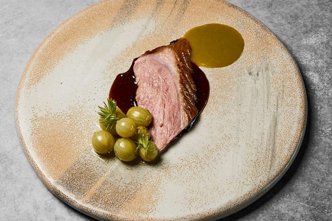 Кологривский гусь