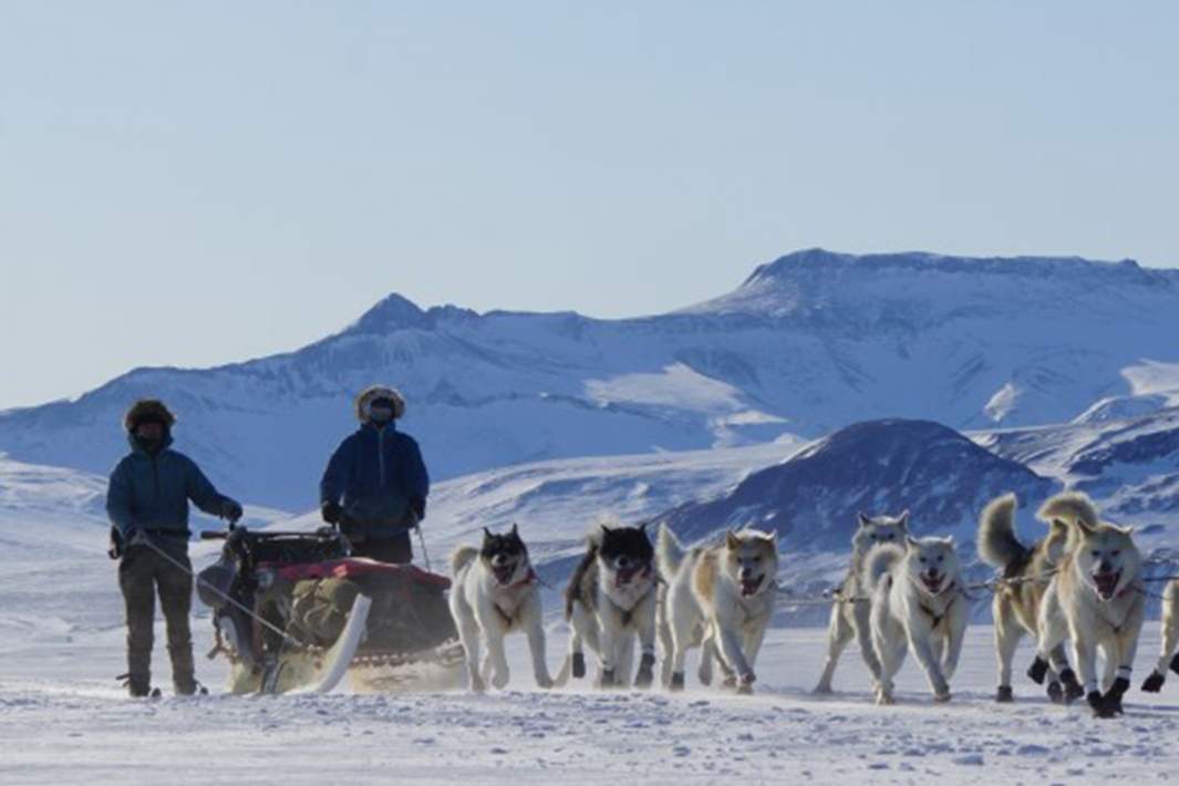 Патруль «Сириус»