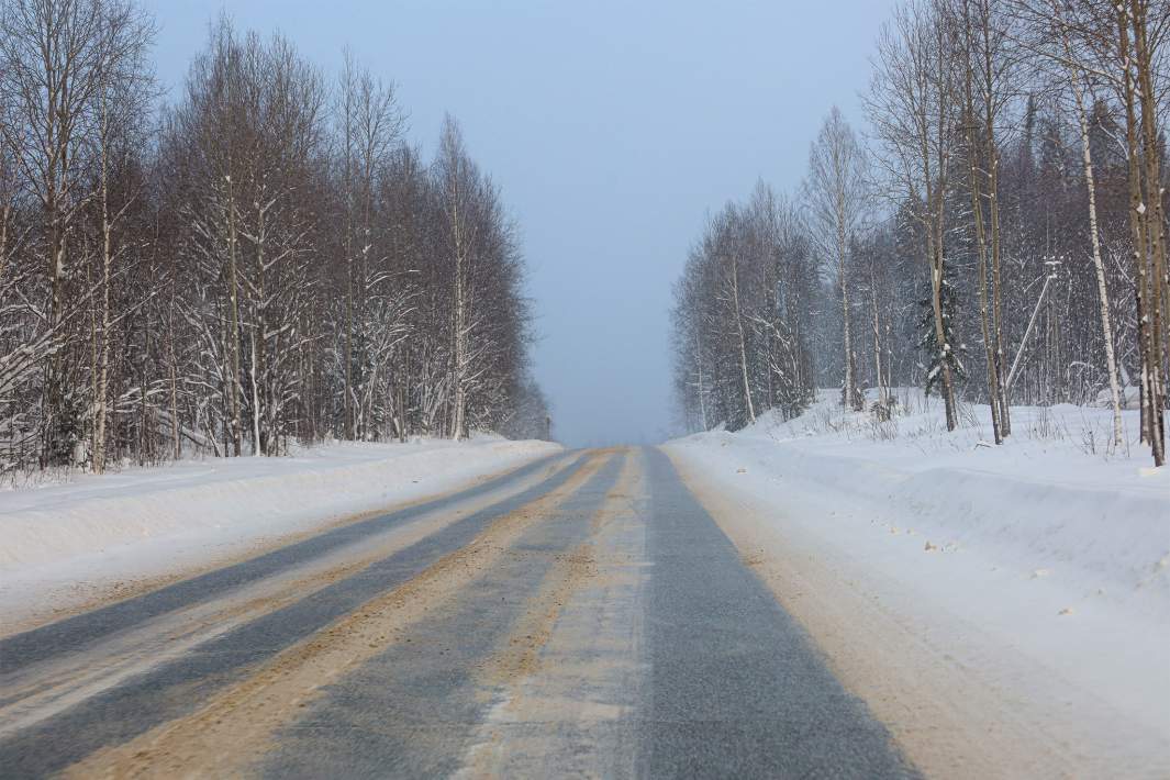 лесная дорога