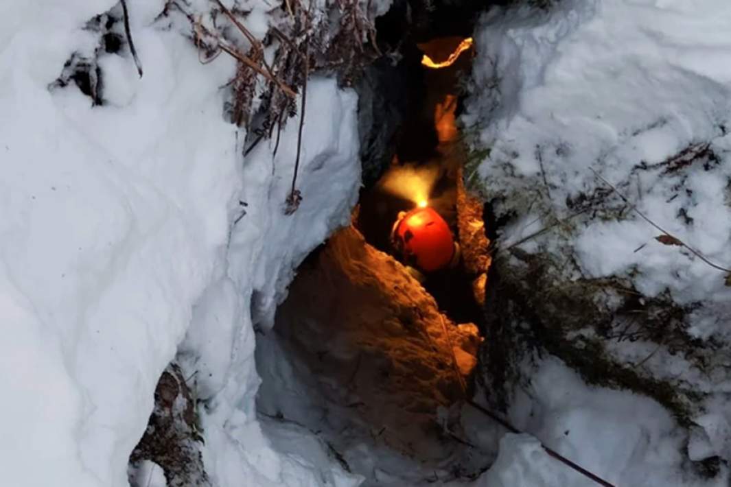 Поиски семьи Усольцевых