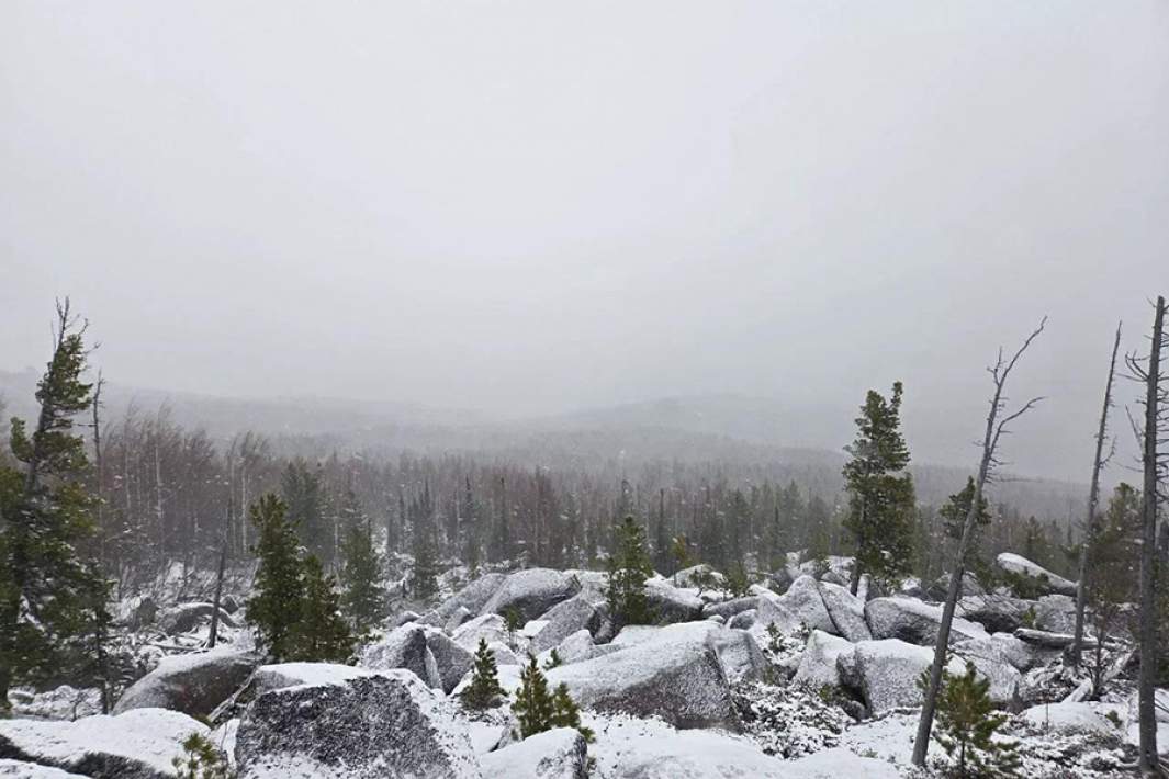 Поиски семьи Усольцевых