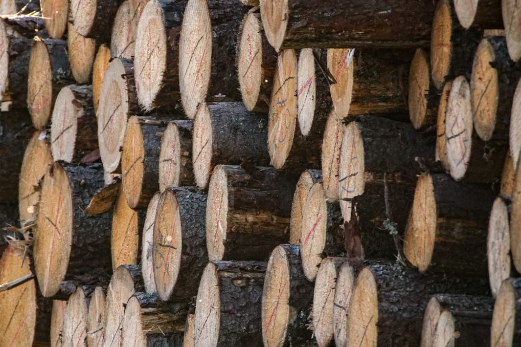 древесина