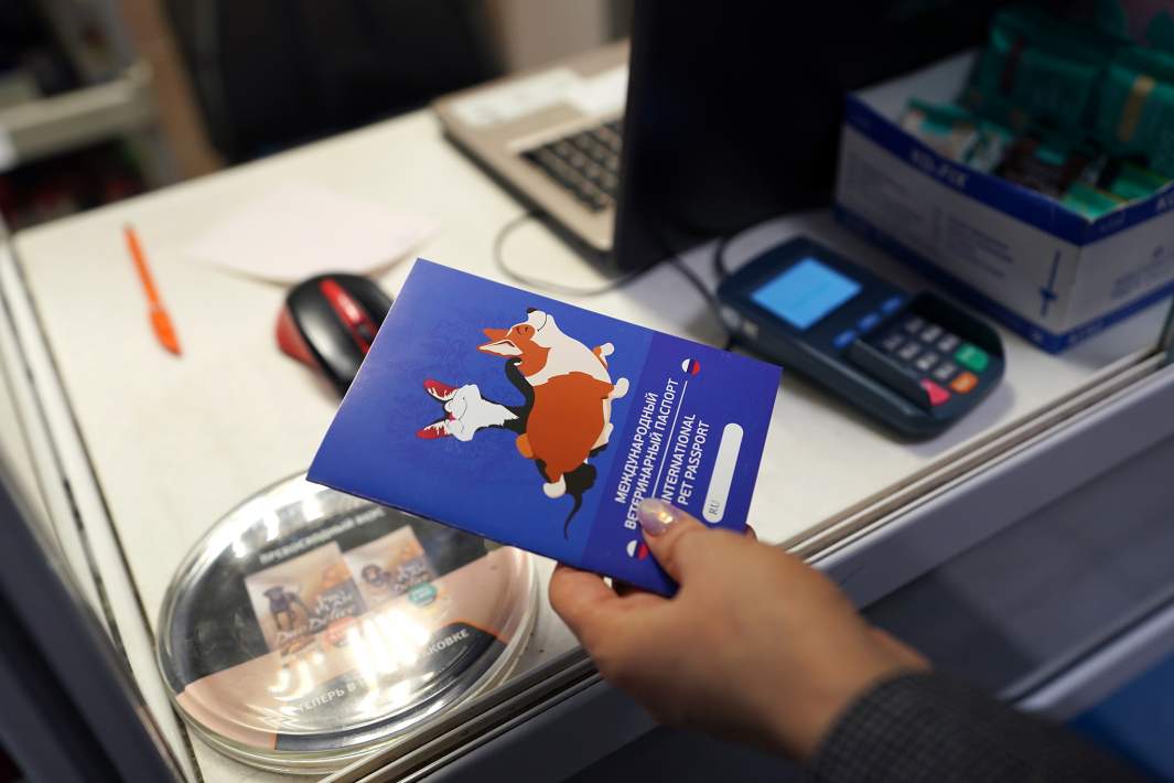 Ветеринарный паспорт 