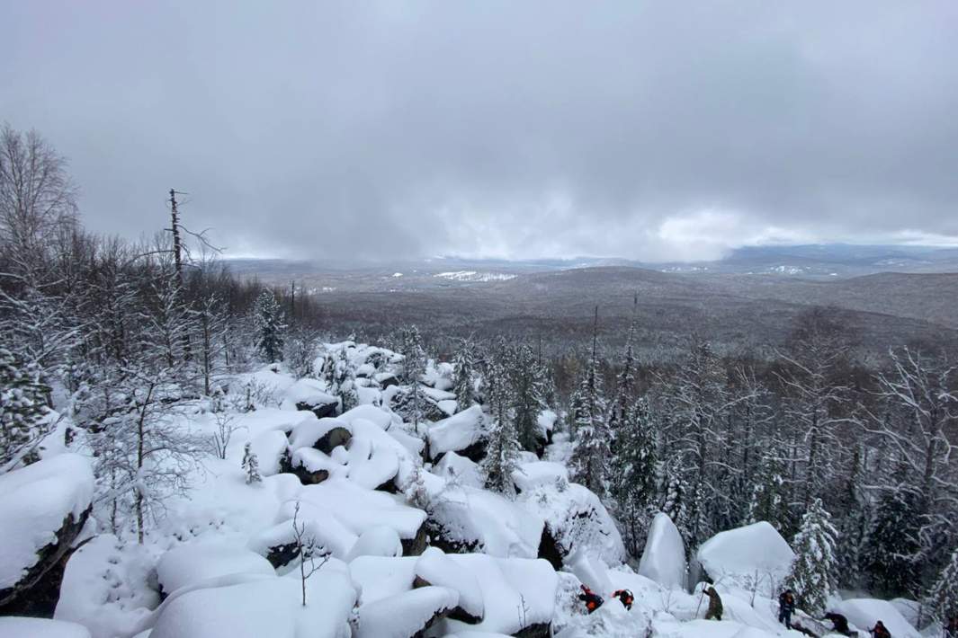 Лес в Красноярском крае 