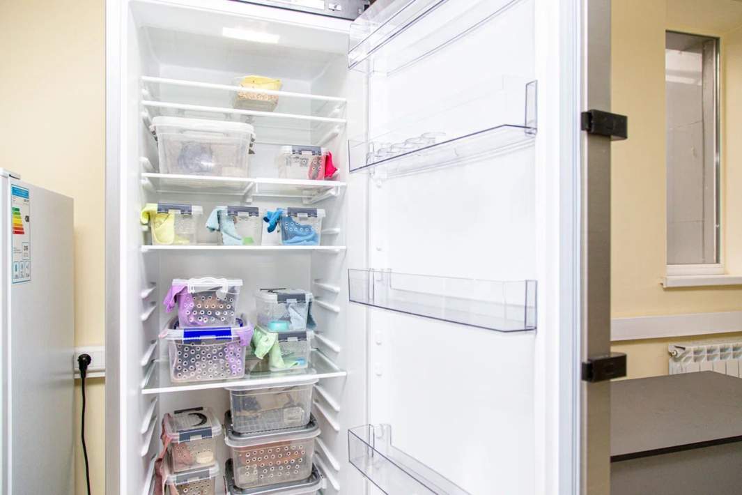 Холодильник