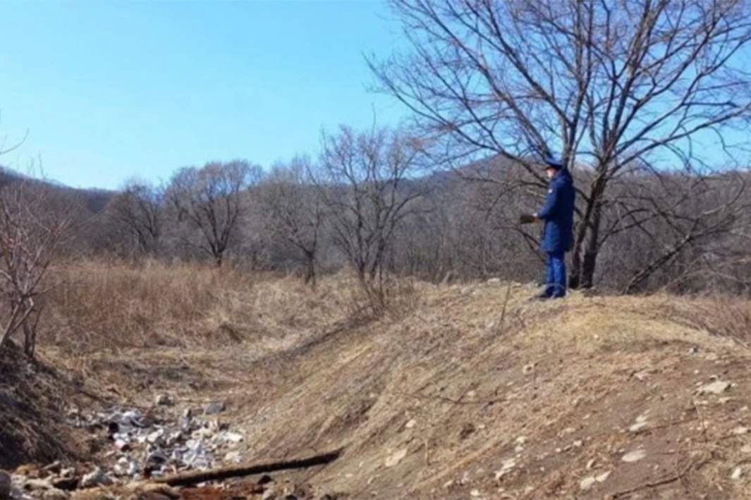 Скотомогильник