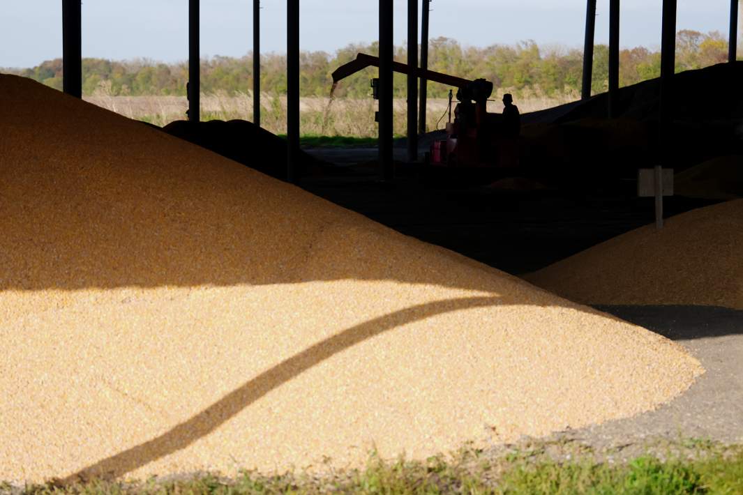 сельское хозяйство