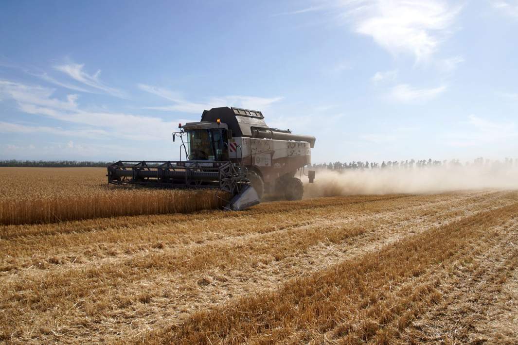 агропромышленность