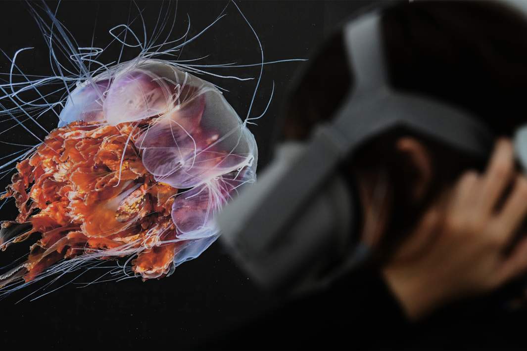 виртуальная реальность