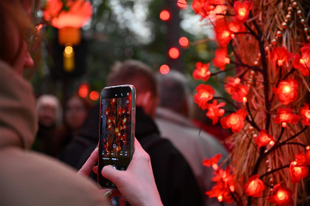 китайский новый год