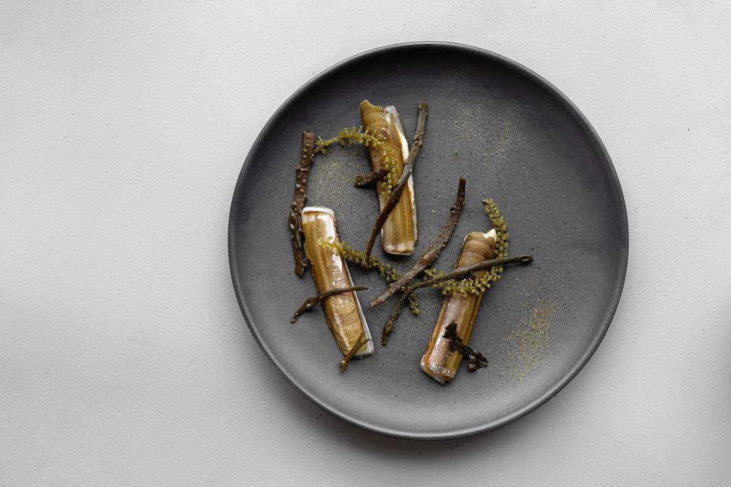 Курс «Море»