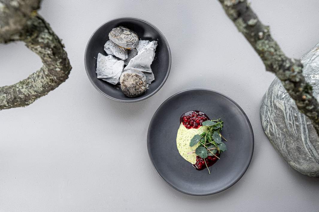 Курс «Огород»