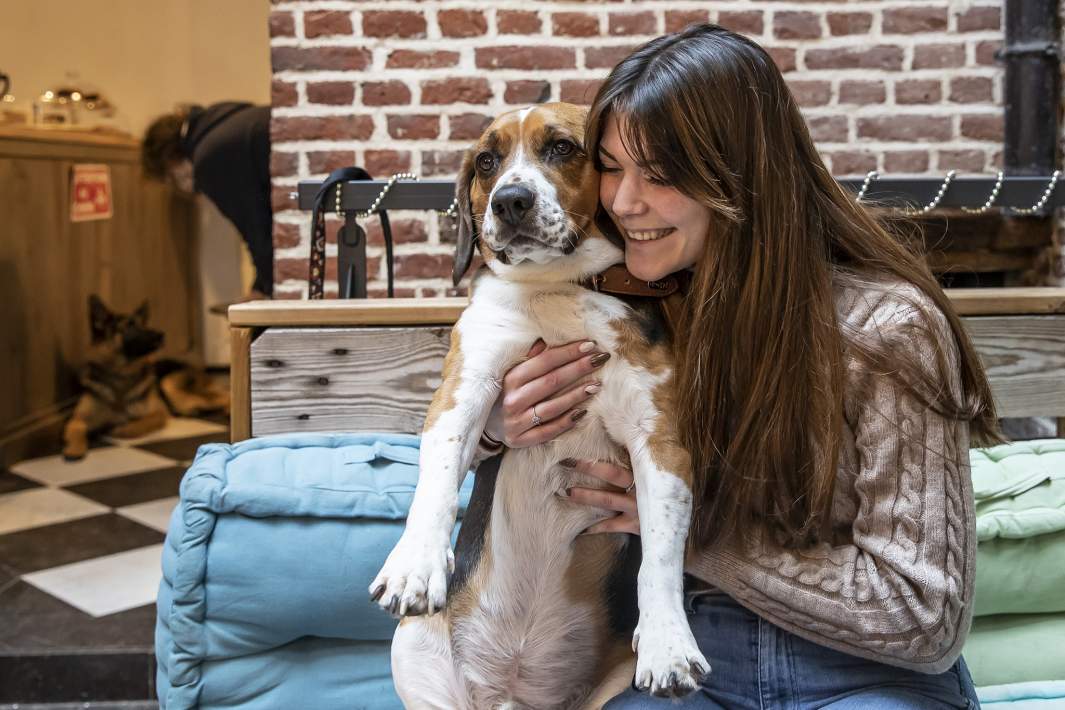 собака в кафе