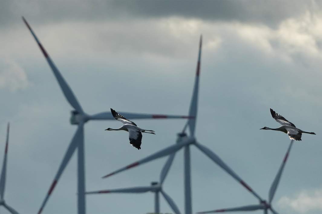 Ветровая генерация