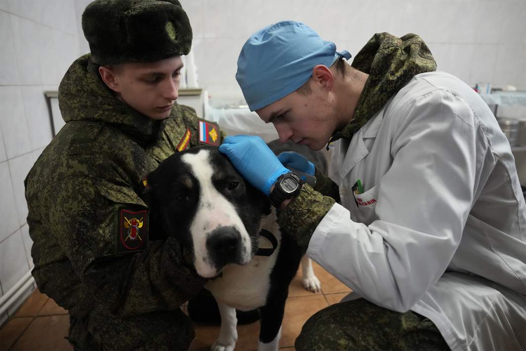 Врач