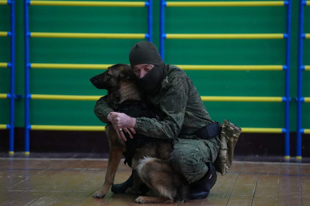 Собака