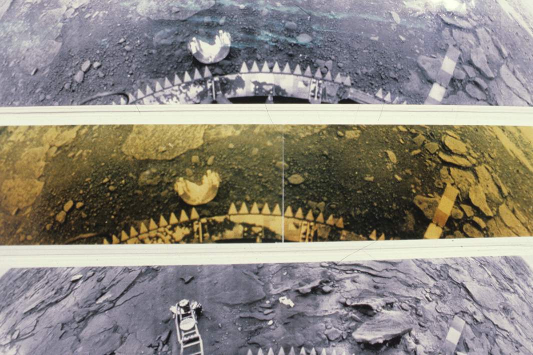 репродукция