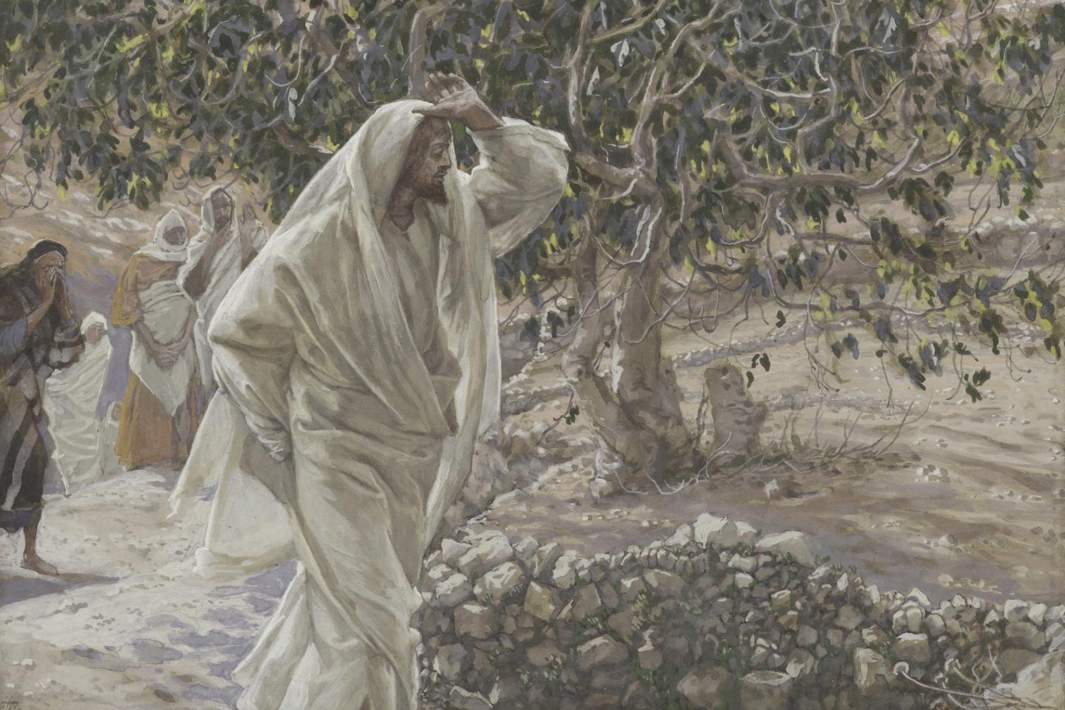 «Проклятие смоковницы», Джеймс Тиссо