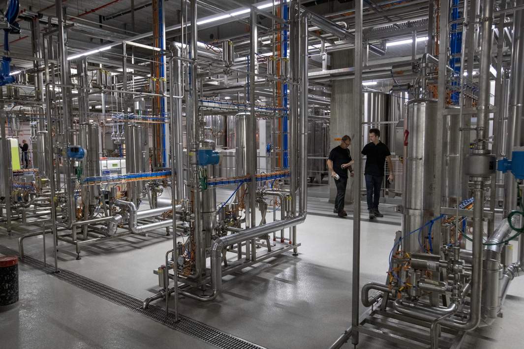 Завод по разливу безалкогольного вина 