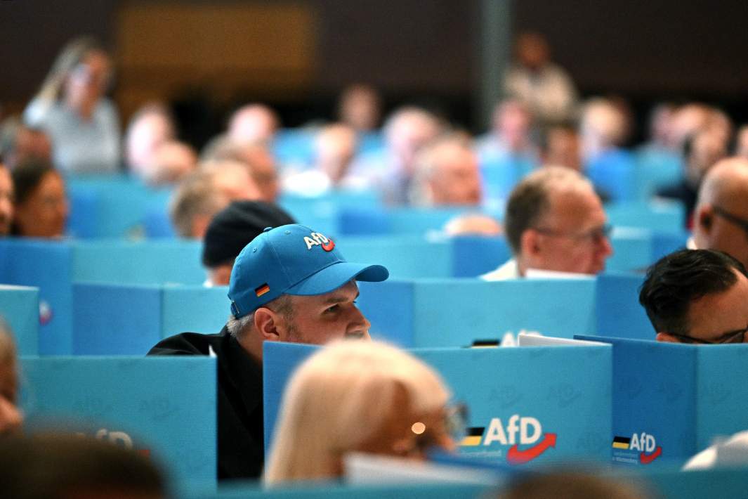 альтернатива для германии