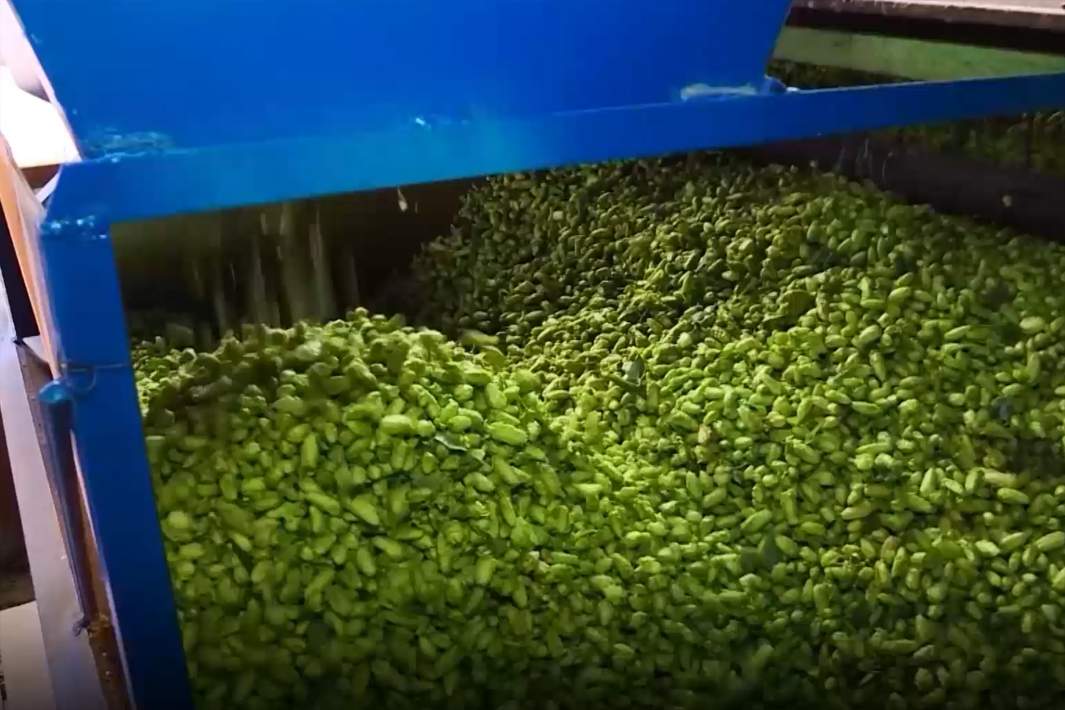 производство 