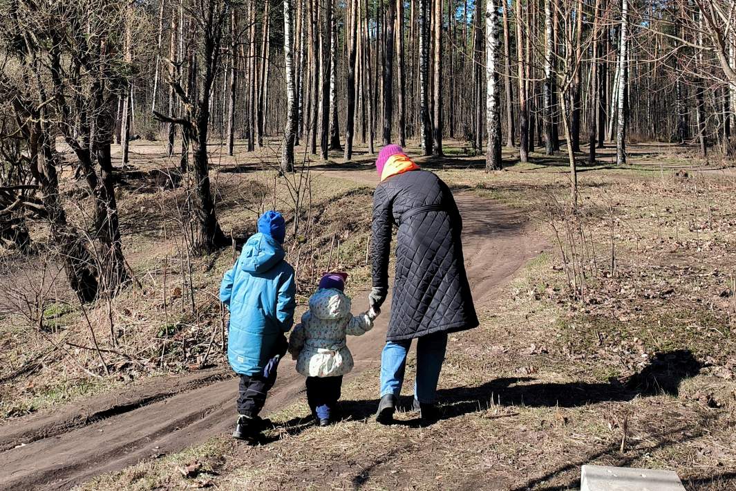 Мама с детьми гуляет по лесу 