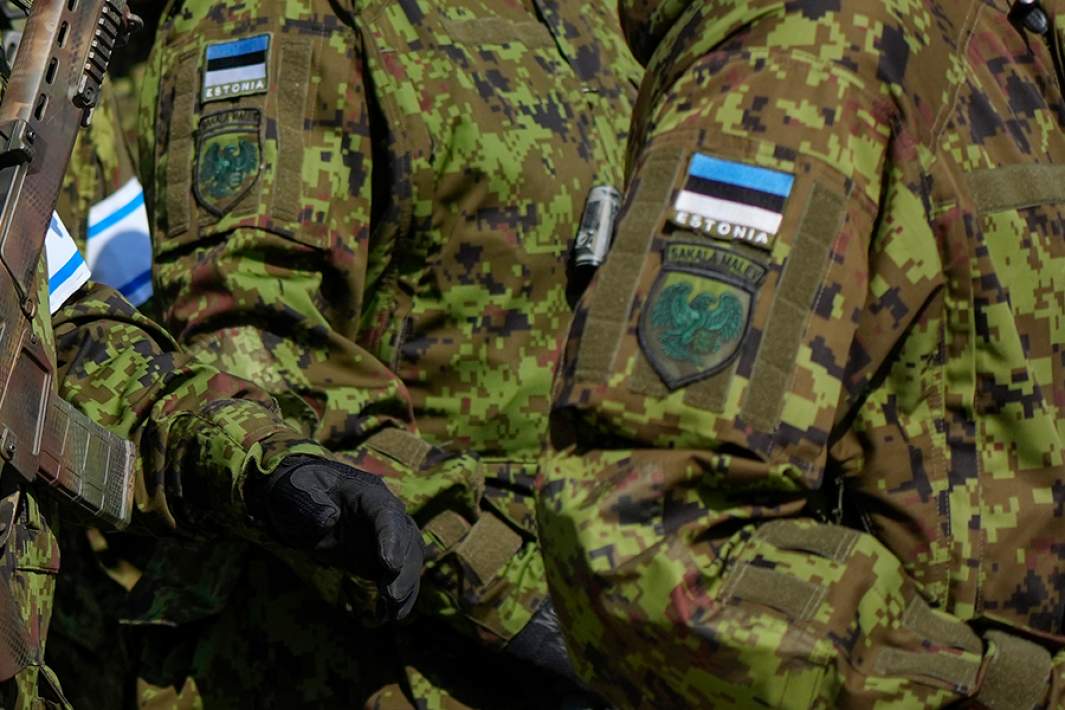 Солдаты Эстонии