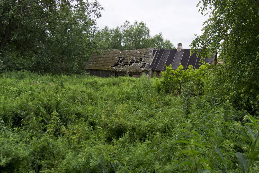 Трава