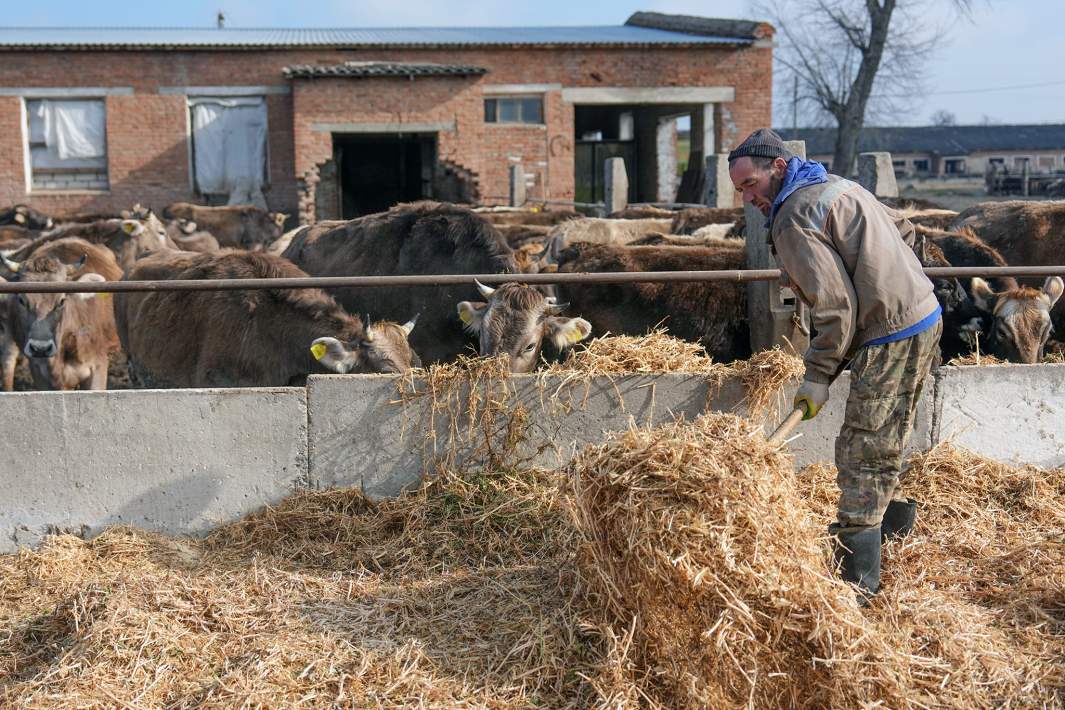 Heavy codes: farmers asked the Ministry of Industry and Trade to cancel ...