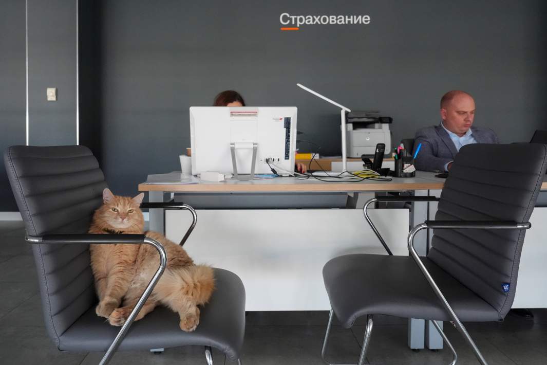 Офис страхования 