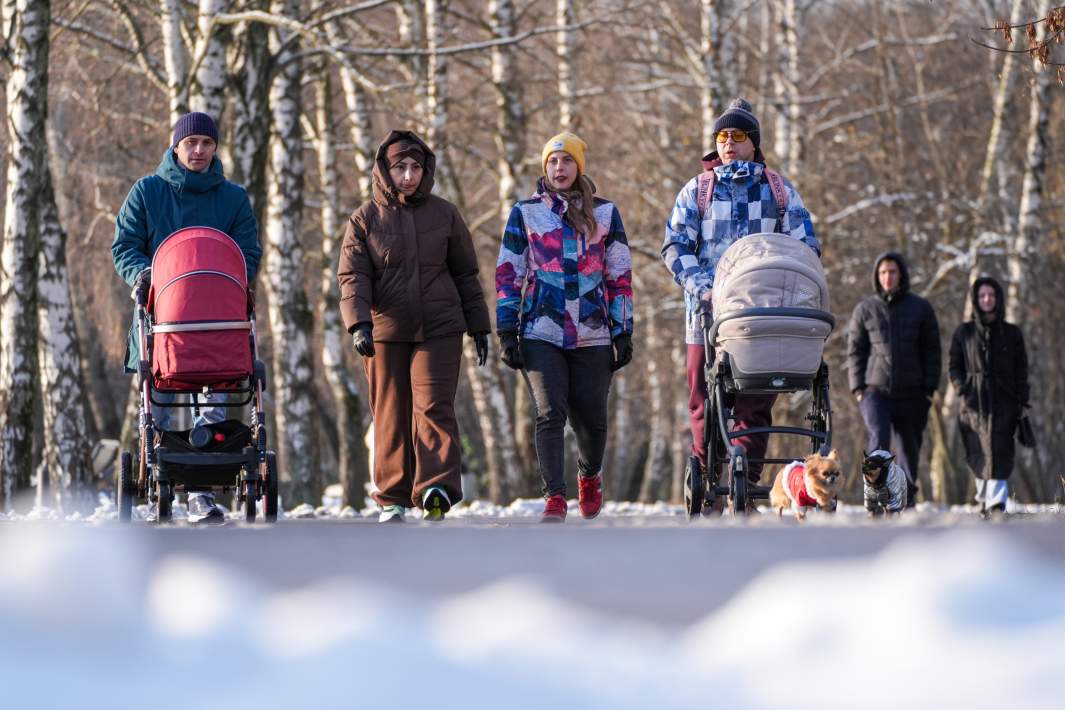 Снежный покров