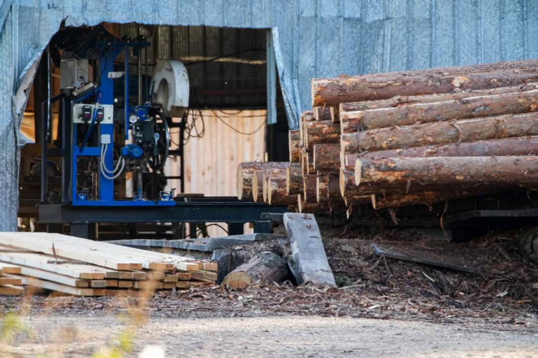 Заготовка древесины на лесопилке