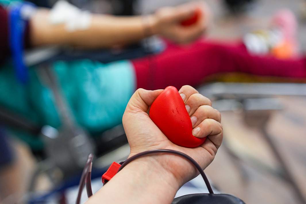 сдача крови 