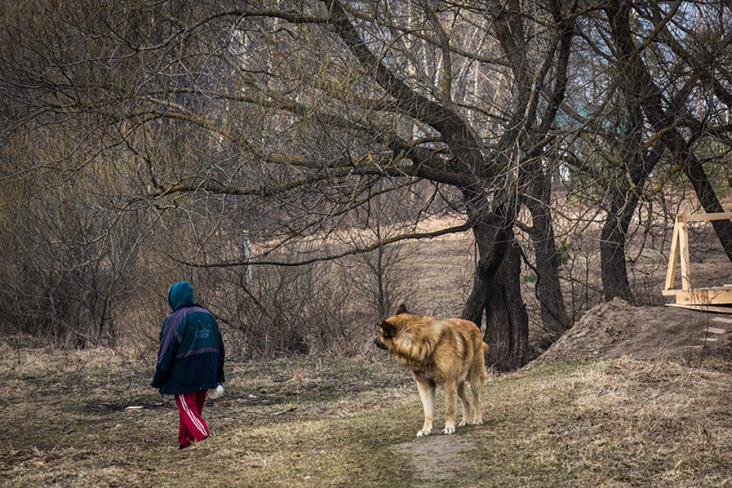 Собака и человек в деревне
