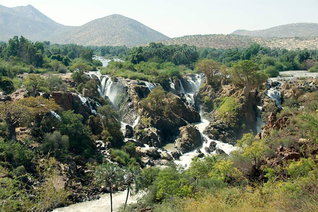 Ангола виды