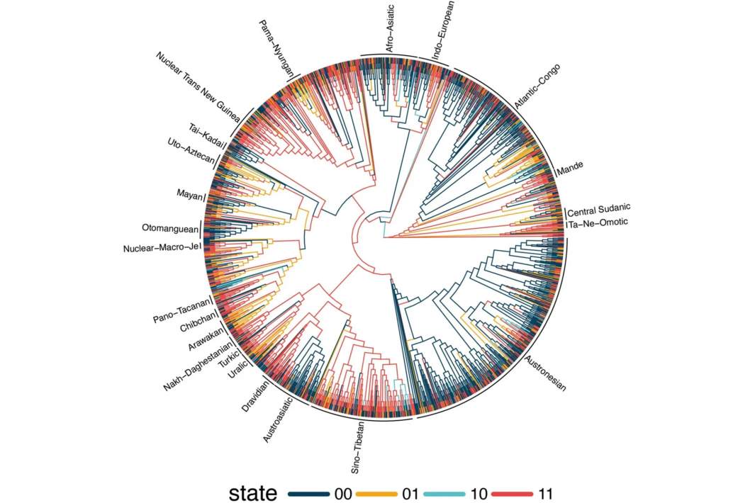 Исследование