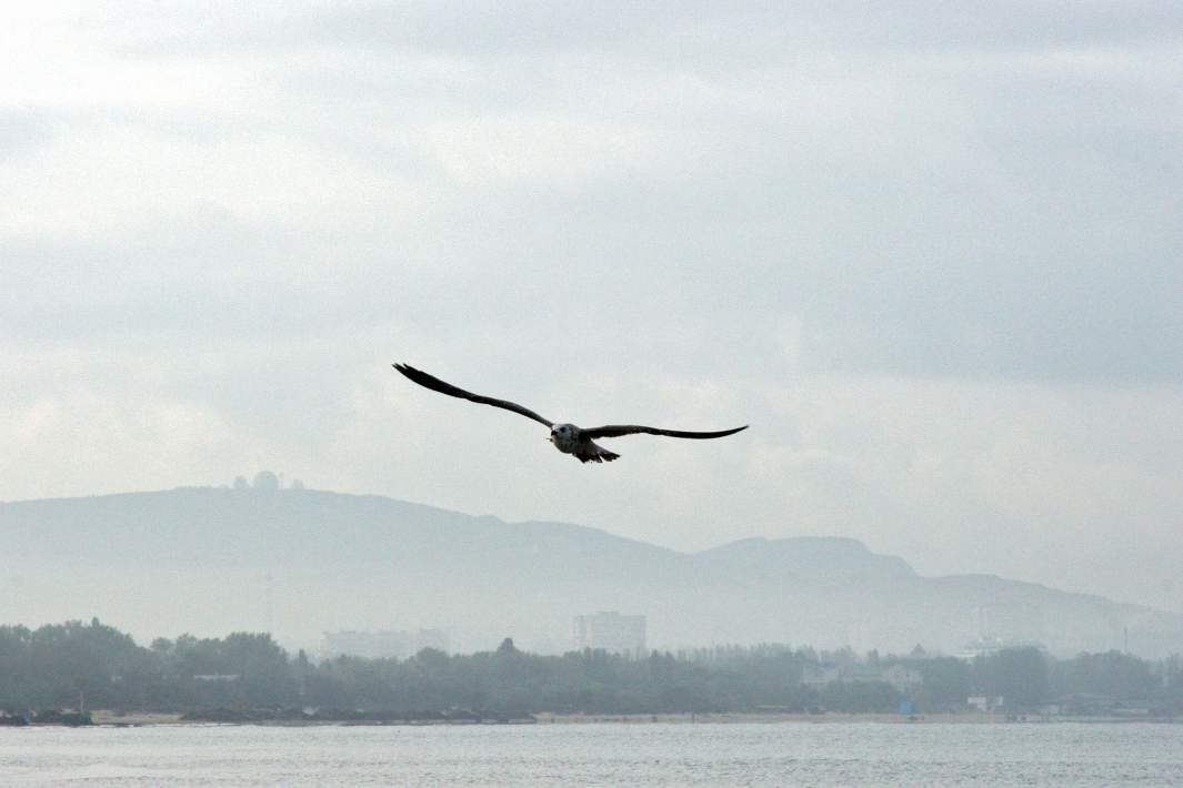 Анапа