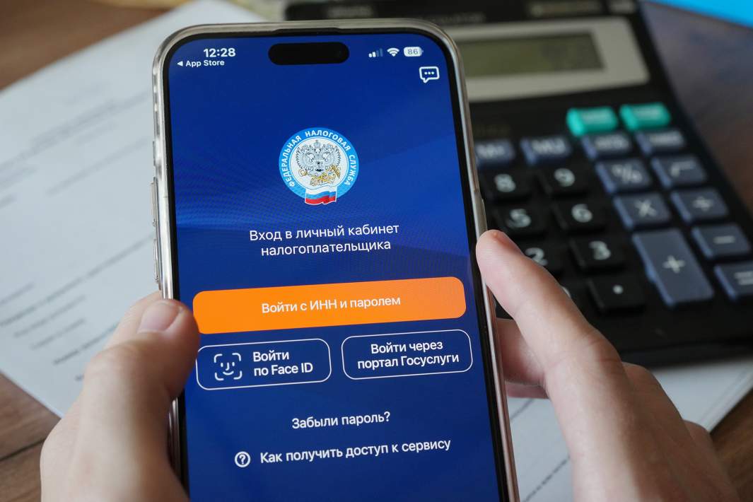 Личный кабинет налогоплательщика в приложении Федеральной налоговой службы на смартфоне