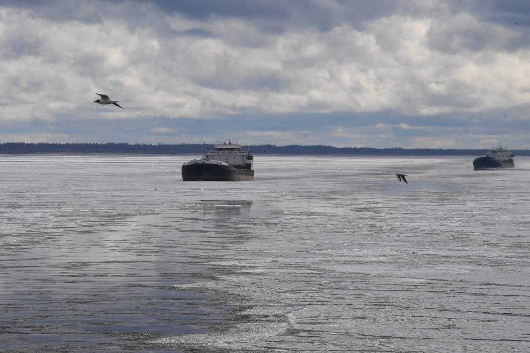 Караван речных судов 