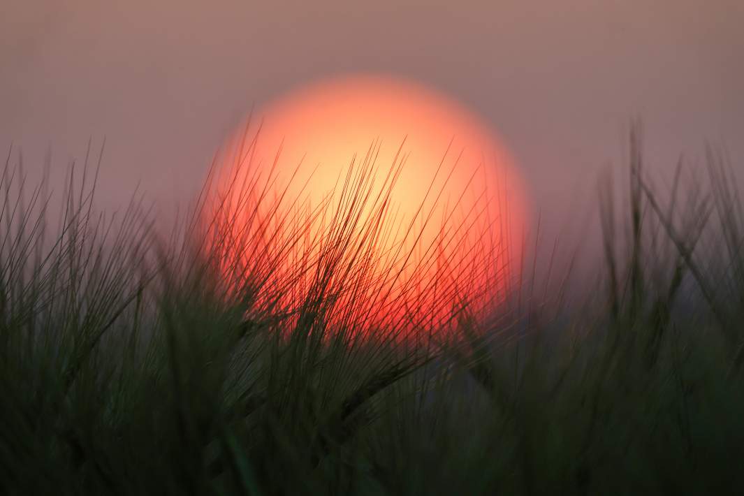 summer-solstice-2026-what-are-the-secrets-of-the-longest-day-of-the