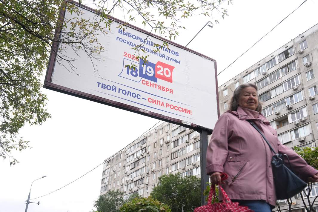 выборы