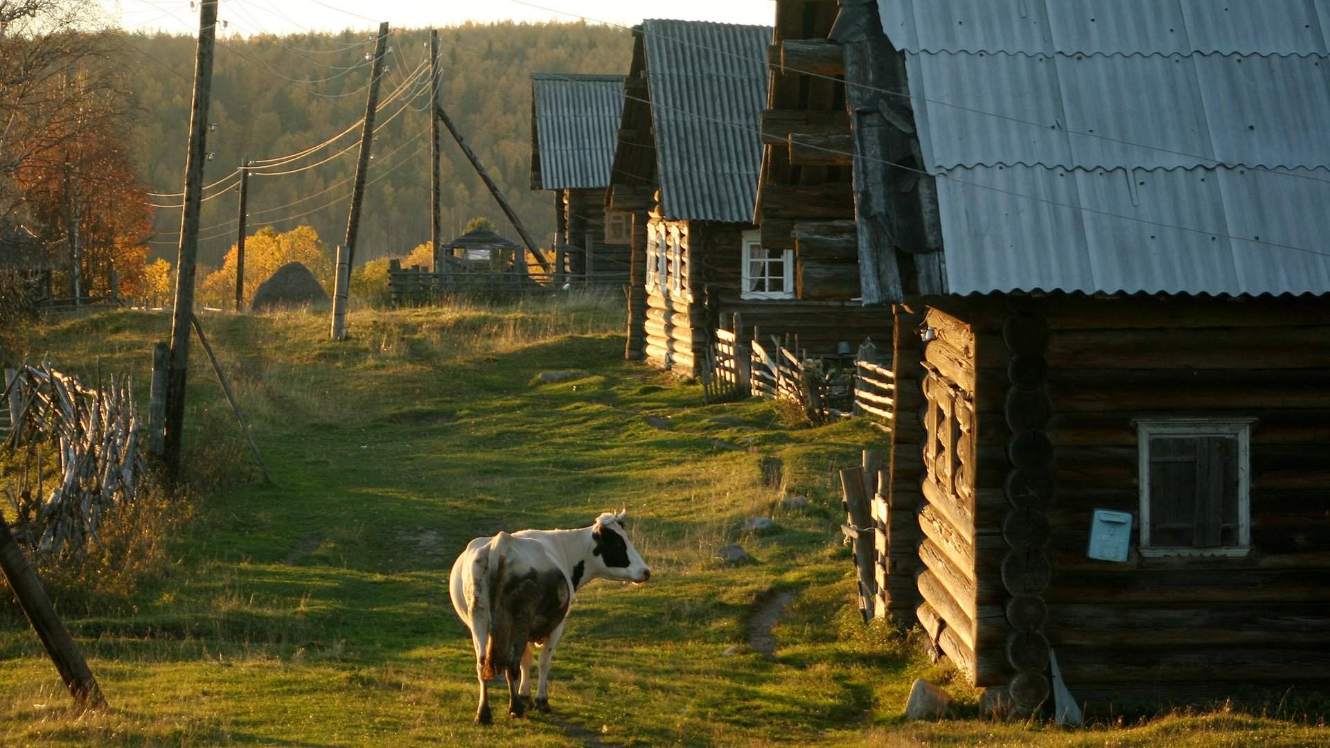 Деревня в Сибири с хозяйством