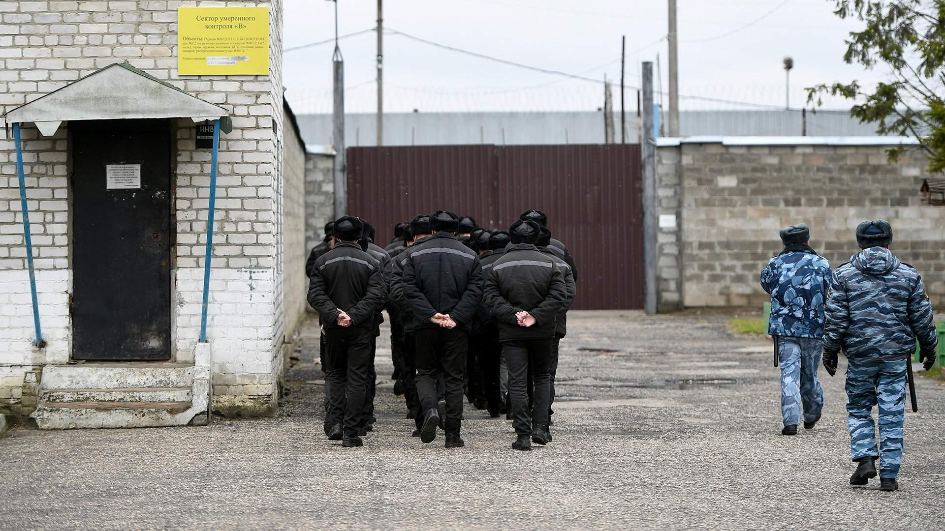 психологическая помощь в адаптации осужденных к жизни в новых условиях