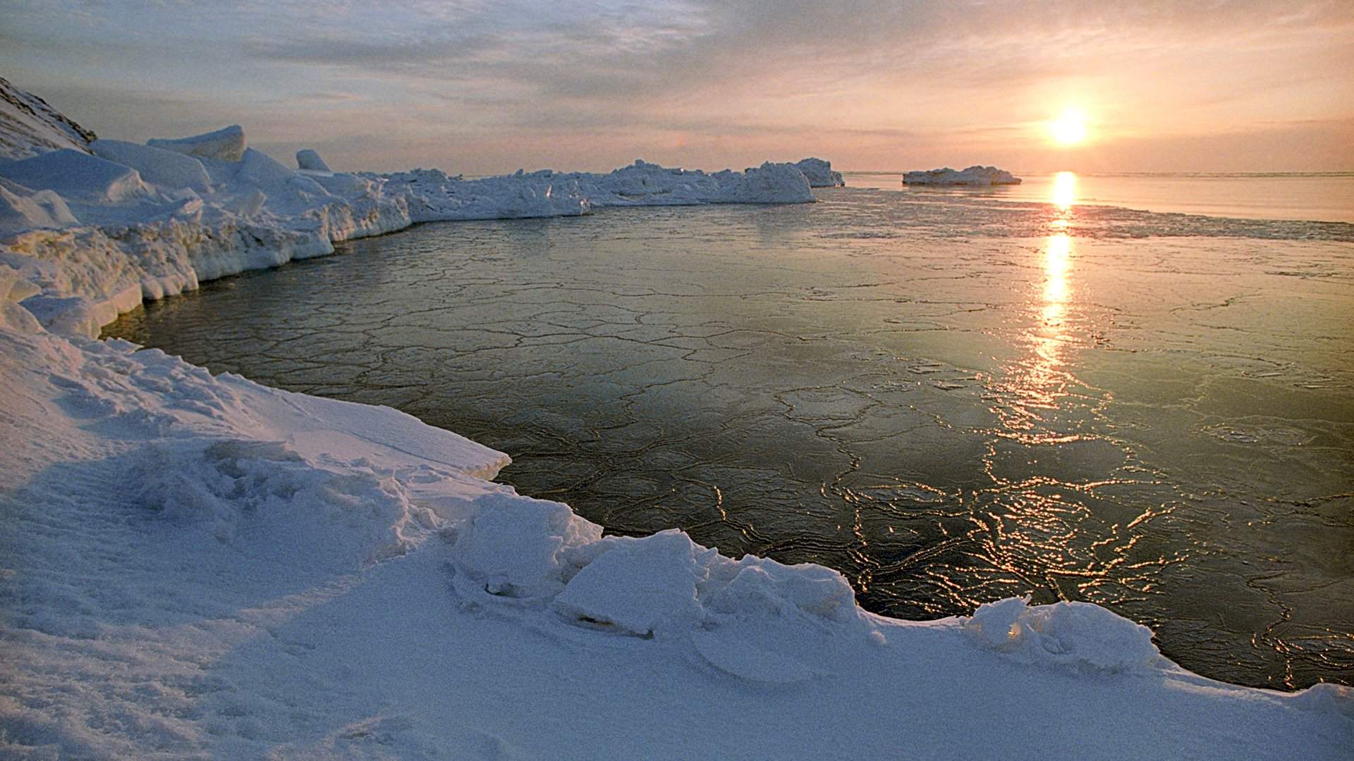 Восточно сибирское море фото