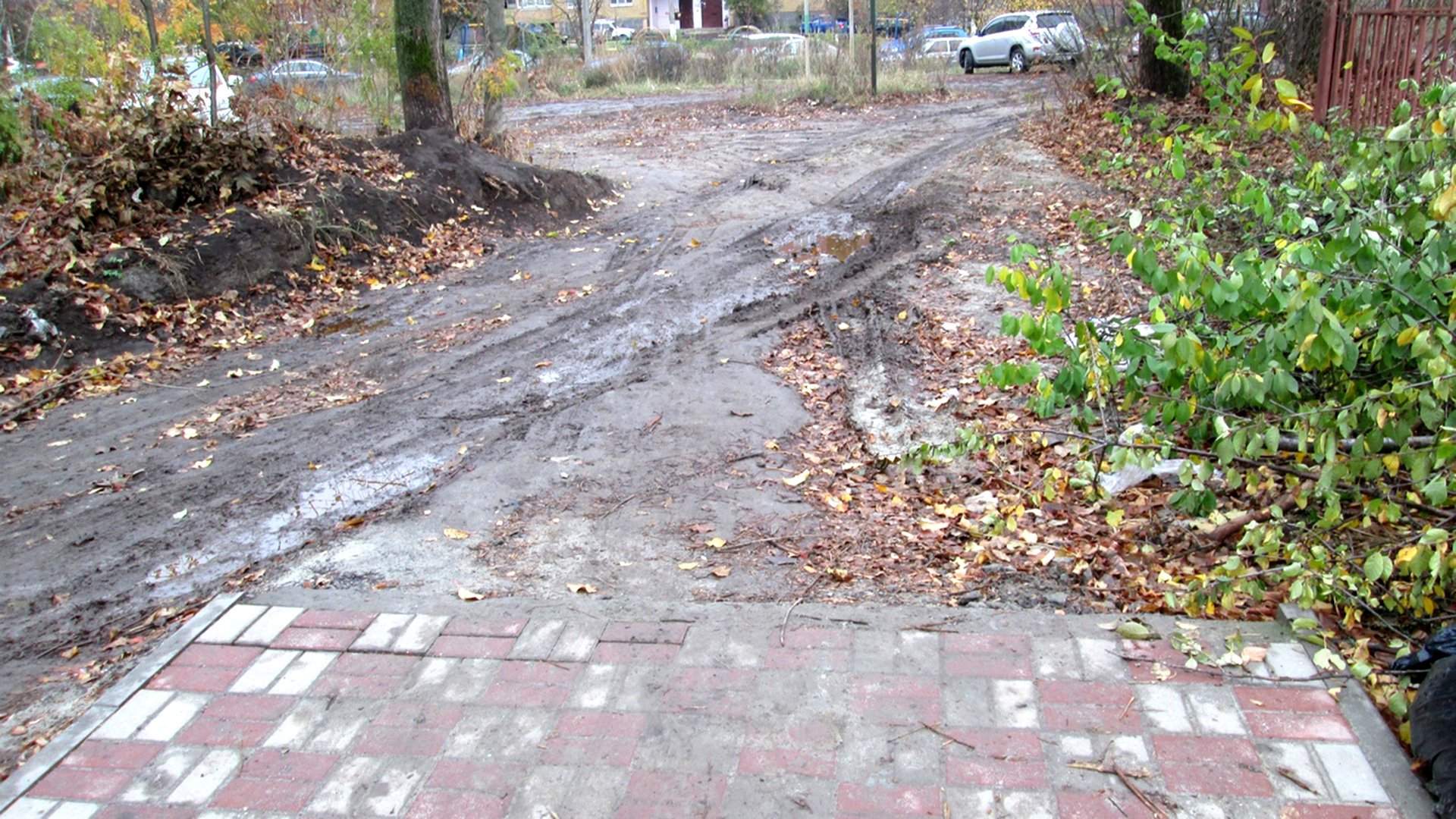 Порядок на дружбе курск