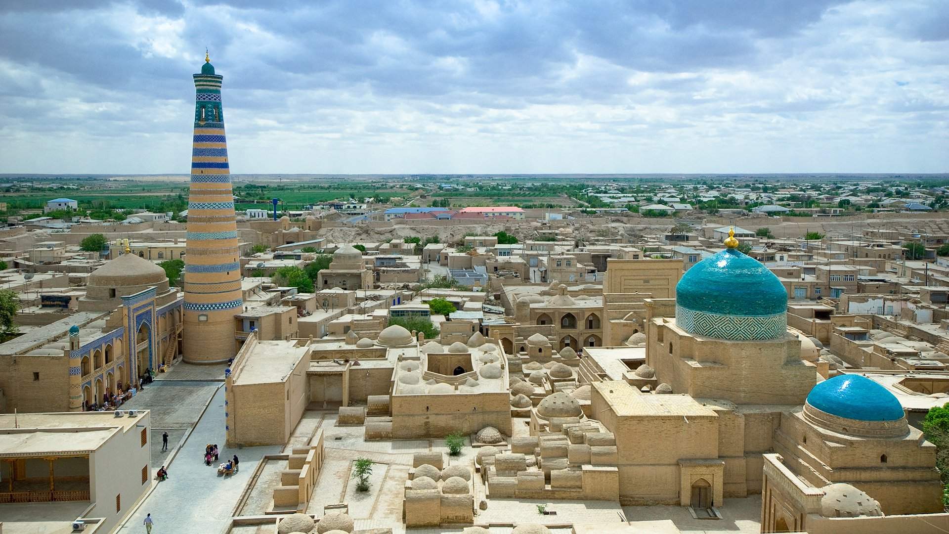 Дыня красномяска узбекистан фото