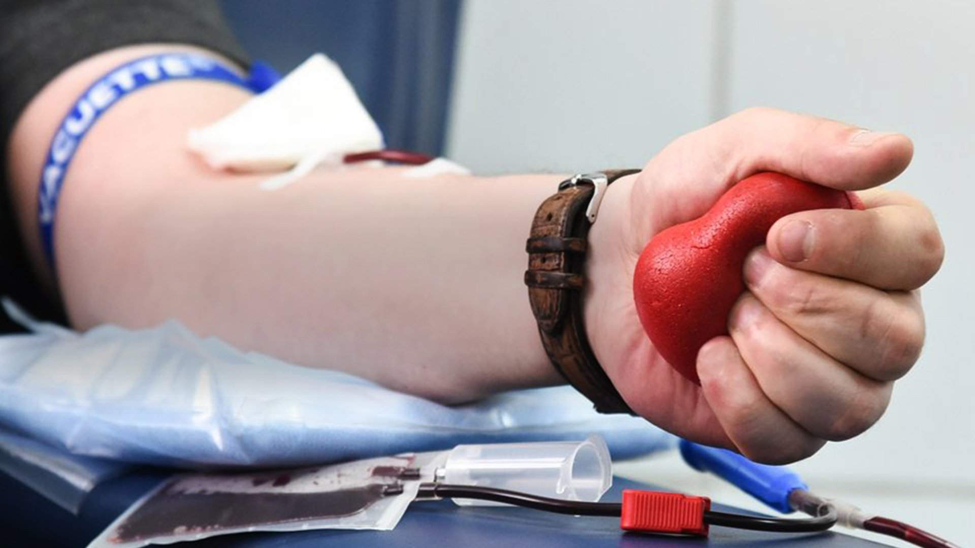 Тихий подвиг. 10 важных вопросов о донорстве костного мозга